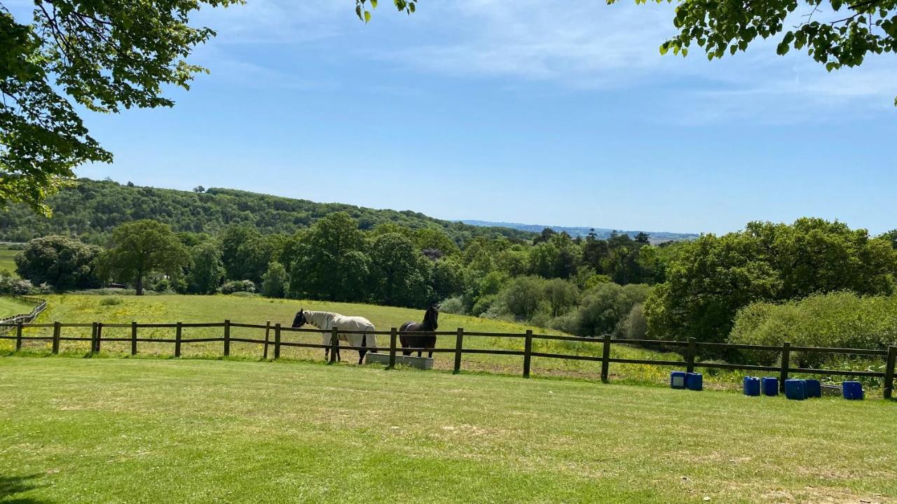 Spacious Primrose Lodge For 6 With Hot Tub At A Spa Resort Chudleigh Luaran gambar